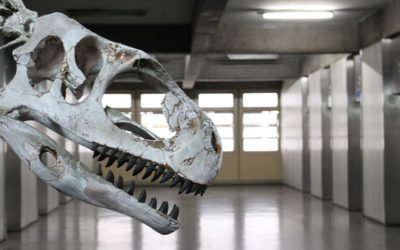 Better off Dead – Six Money Habits That Should Be Extinct