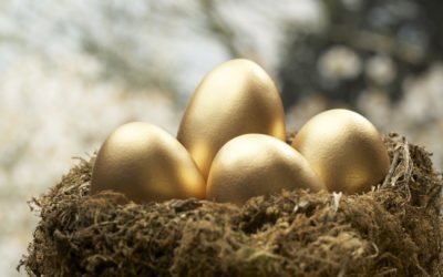 Your Pension – Don’t Kill the Goose!