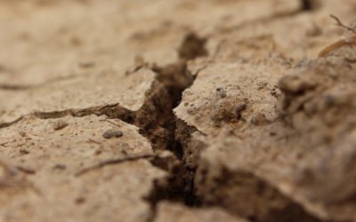 Pensions: Are You on Shaky Ground?