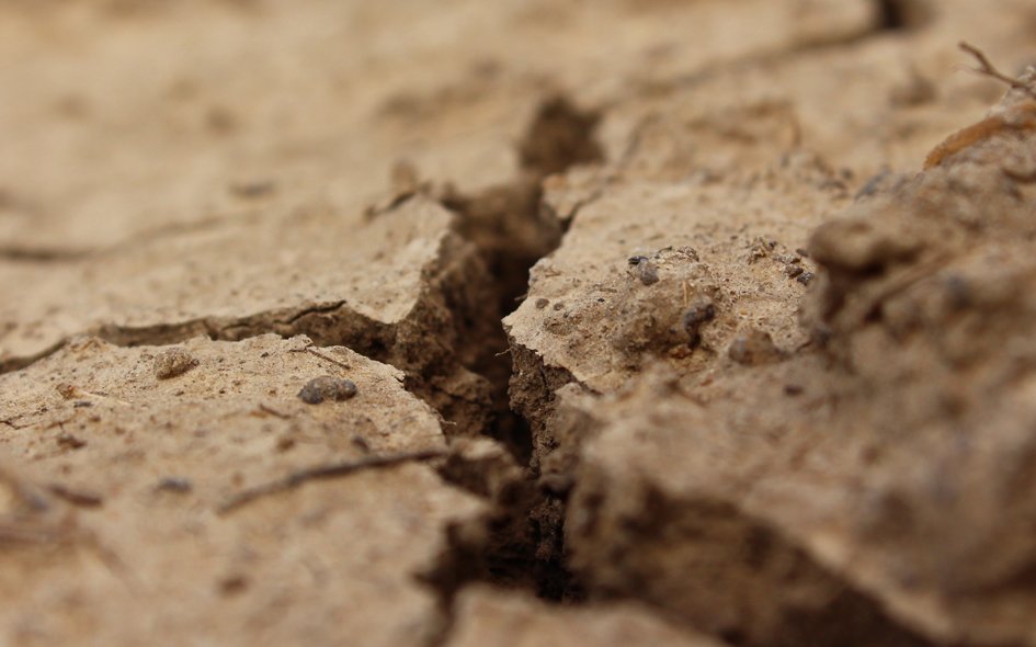 cracked ground cracked ground