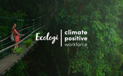 NorthStar Is Now a ‘Climate Positive’ Company