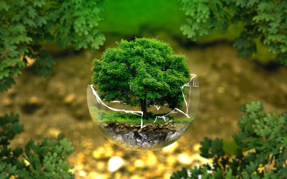 Ethicalinvesting Ethicalinvesting