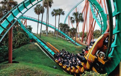 How to Survive Volatile Investment Markets
