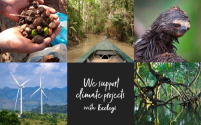 The Latest on Our Carbon Reduction and Climate Action Projects