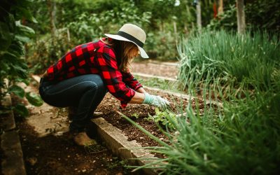 What Gardening Can Teach Us About Successful Investing