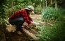 What Gardening Can Teach Us About Successful Investing