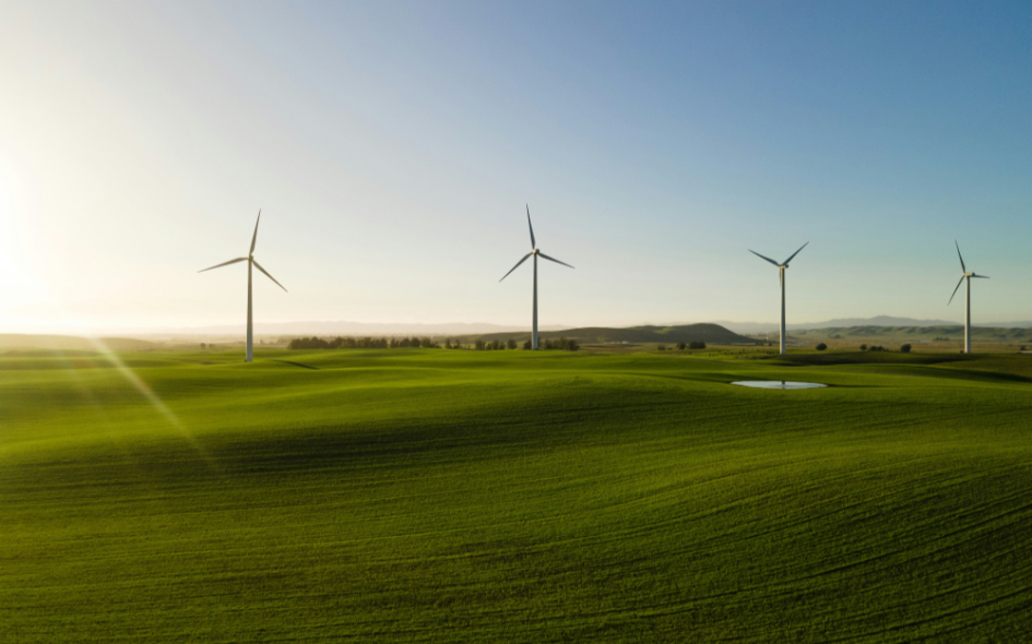 windfarm windfarm